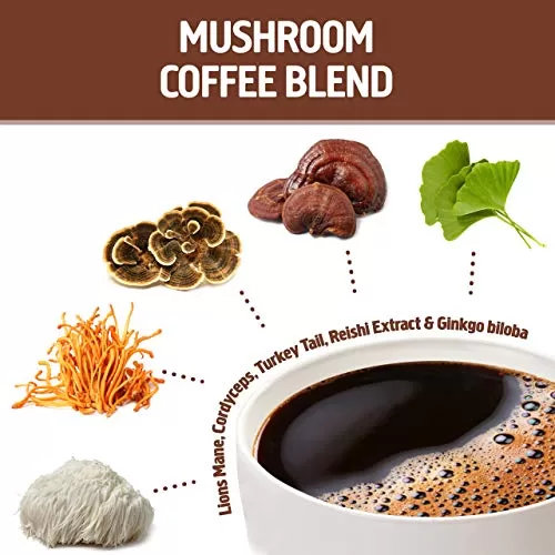 Mushroom Coffee Benefits